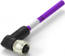 Sensor actuator cable, M12-cable socket, angled to open end, 2 pole, 0.5 m, PUR, purple, 4 A, TAB62446501-001