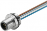 Sensor actuator cable, M12-flange plug, straight to open end, 5 pole, 0.5 m, PUR, 4 A, 1856120000
