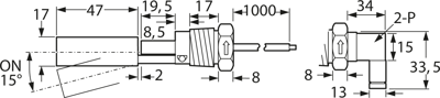 SSF212X100 Cynergy3 Float Switches, Flow Sensors Image 2