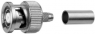 R-BNC plug 50 Ω, RG-58C/U, crimp/crimp, straight, 100023361