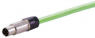 Sensor actuator cable, M12-cable plug, straight to open end, 4 pole, 0.5 m, PUR, green, 0948C200004005