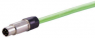 Sensor actuator cable, M12-cable plug, straight to open end, 4 pole, 2 m, PUR, green, 0948C200004020