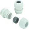 Cable gland, PG9, 19 mm, Clamping range 4 to 8 mm, IP68, silver, 1568980000