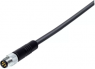 Sensor actuator cable, M8-cable plug, straight to open end, 3 pole, 2 m, PUR, black, 4 A, 77 3705 0000 50003-0200