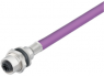 Sensor actuator cable, M12-flange socket, straight to open end, 2 pole, 0.5 m, PUR, purple, 4 A, 1279480050
