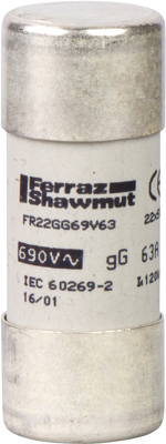 DF2FN100 Schneider Electric Micro Fuses