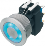 Pushbutton, 2 pole, silver, illuminated  (blue), 5 A/125 V, mounting Ø 22.1 mm, IP67, 1241.6934.1124000