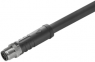 Sensor actuator cable, M12-cable plug, straight to open end, 4 pole, 3 m, PUR, black, 12 A, 2050230300
