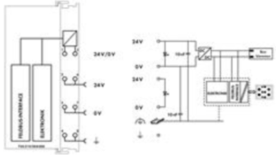 750-319/004-000 WAGO Bus coupler Image 3