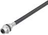 Sensor actuator cable, M12-cable socket, straight to open end, 5 pole, 2 m, PUR, black, 4 A, 1222270000