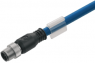 Bus line, M12-plug, straight to open end, PVC, 5 m, blue