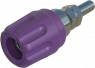 Pole terminal, 4 mm, purple, 30 VAC/60 VDC, 16 A, screw connection, nickel-plated, PK 10 A VI