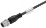 Bus line, M12-plug, straight to open end, PVC, 2 m, black