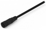 Sensor actuator cable, M12-cable socket, straight to open end, 4 pole, 2 m, PVC, black, 5 A, 643621120304