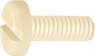 Pan head screw, slotted, M3, 6 mm, polyamide, DIN 85/ISO 1580