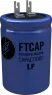 LFB10216035050 FTcap Electrolytic Capacitors