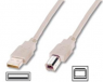 USB 2.0 Adapter cable, USB plug type A to USB plug type B, 1.8 m, beige