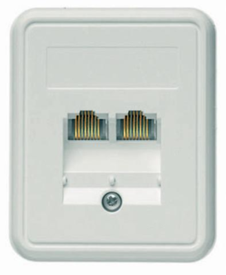 100022999 Telegärtner Accessories for Network Connectors