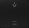 DELTA i-system rocker with window and light symbol, soft black